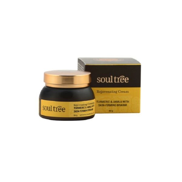 Crema Facial Regeneradora Cúrcuma - Amla de Soul Tree