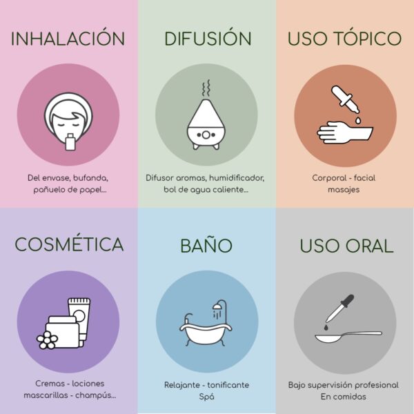 Oli Essencial Eucaliptus Bio de Labiatae - Imatge 3